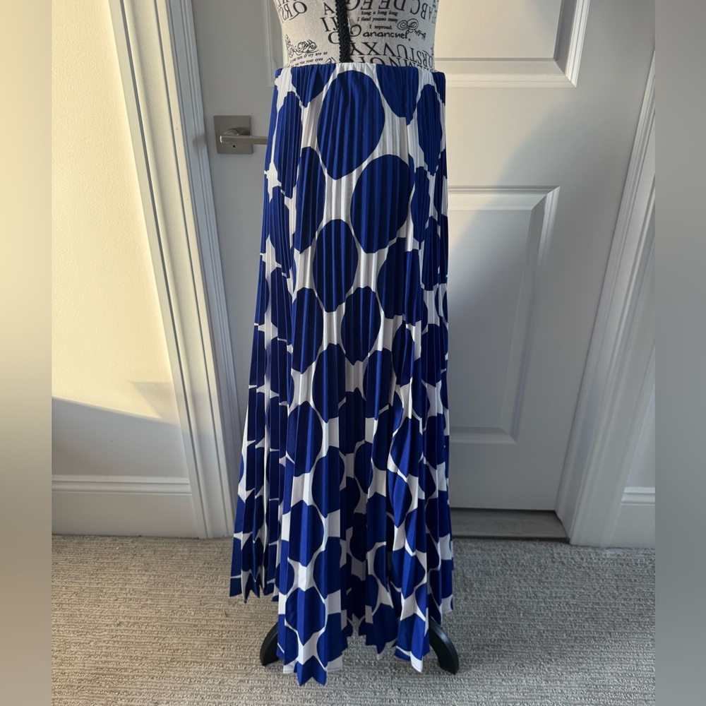 ShopEvelynne Navy and White Maxi Skirt - Picture 3 of 7